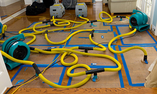 Professional Crawl Space Water Removal technician working in Lakewood, SC